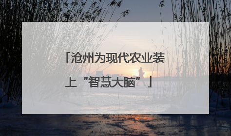沧州为现代农业装上“智慧大脑”