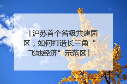 沪苏首个省级共建园区，如何打造长三角“飞地经济”示范区