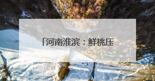 河南淮滨：鲜桃压枝香 采摘正当时