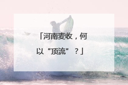 河南麦收，何以“顶流”？