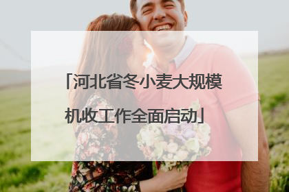 河北省冬小麦大规模机收工作全面启动