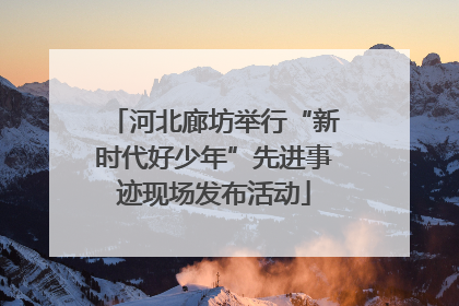 河北廊坊举行“新时代好少年”先进事迹现场发布活动