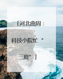 河北曲周：科技小院忙“三夏”
