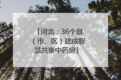 河北：36个县（市、区）建成智慧共享中药房