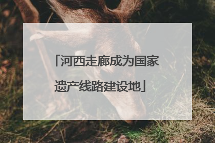 河西走廊成为国家遗产线路建设地