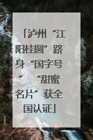 泸州“江阳桂圆”跻身“国字号” “甜蜜名片”获全国认证