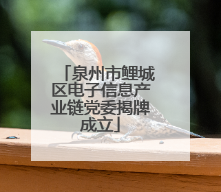 泉州市鲤城区电子信息产业链党委揭牌成立