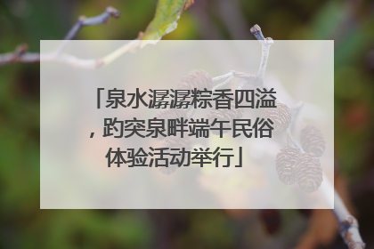 泉水潺潺粽香四溢，趵突泉畔端午民俗体验活动举行