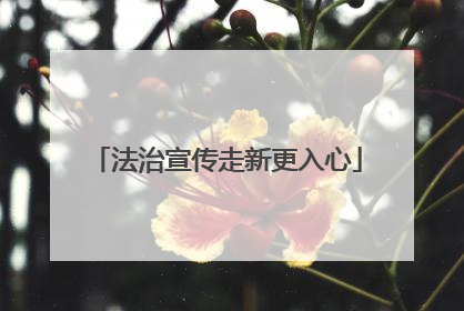 法治宣传走新更入心
