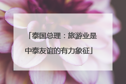 泰国总理：旅游业是中泰友谊的有力象征