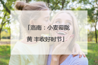 洛南：小麦覆陇黄 丰收好时节