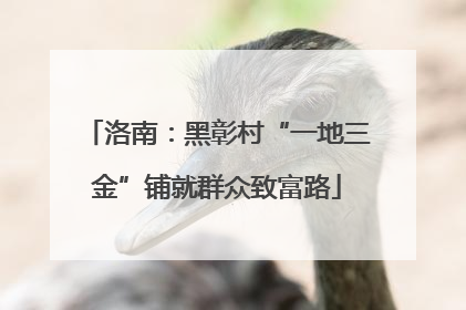 洛南：黑彰村“一地三金”铺就群众致富路