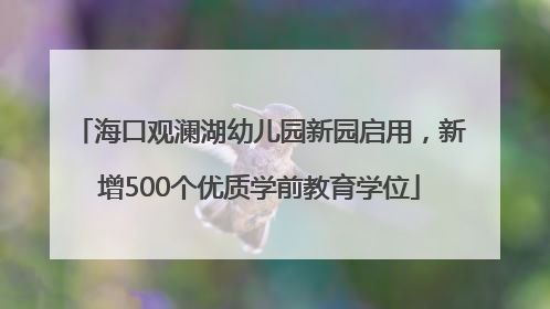 海口观澜湖幼儿园新园启用，新增500个优质学前教育学位