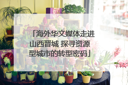 海外华文媒体走进山西晋城 探寻资源型城市的转型密码