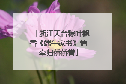 浙江天台粽叶飘香《端午家书》情牵归侨侨眷