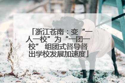 浙江苍南：变“一人一校”为“一团一校” 组团式督导督出学校发展加速度