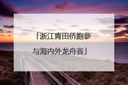 浙江青田侨胞参与海内外龙舟赛