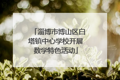 淄博市博山区白塔镇中心学校开展数学特色活动