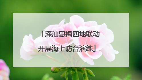 深汕惠揭四地联动开展海上防台演练