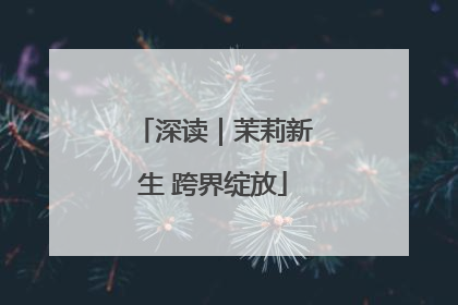 深读｜茉莉新生 跨界绽放