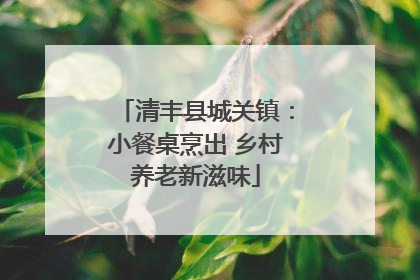 清丰县城关镇：小餐桌烹出 乡村养老新滋味