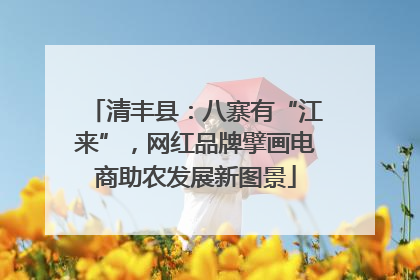 清丰县：八寨有“江来”，网红品牌擘画电商助农发展新图景