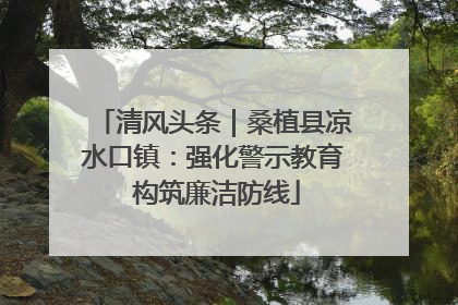 清风头条｜桑植县凉水口镇：强化警示教育 构筑廉洁防线