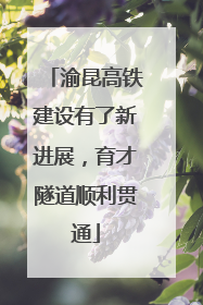 渝昆高铁建设有了新进展，育才隧道顺利贯通