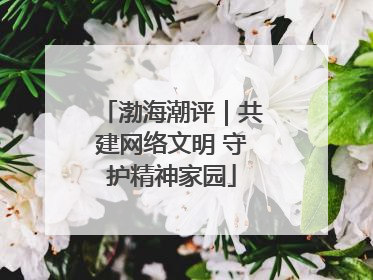 渤海潮评｜共建网络文明 守护精神家园