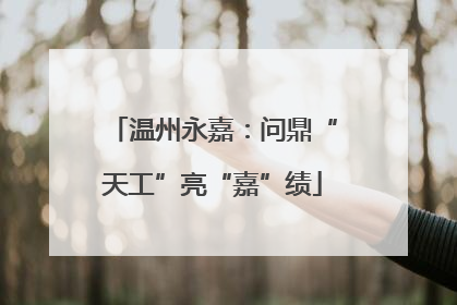 温州永嘉：问鼎“天工”亮“嘉”绩
