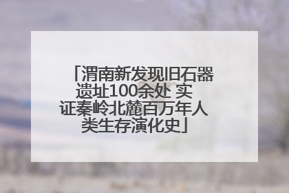 渭南新发现旧石器遗址100余处 实证秦岭北麓百万年人类生存演化史
