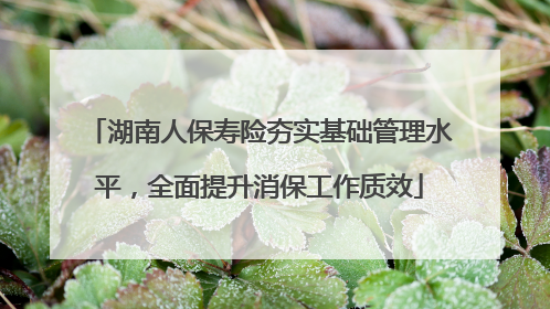 湖南人保寿险夯实基础管理水平，全面提升消保工作质效