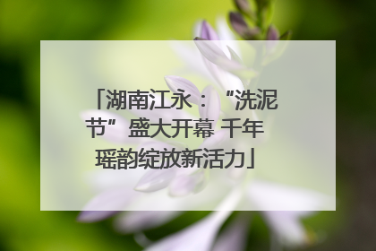 湖南江永：“洗泥节”盛大开幕 千年瑶韵绽放新活力