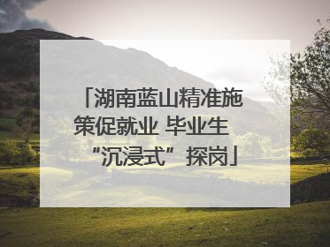 湖南蓝山精准施策促就业 毕业生“沉浸式”探岗
