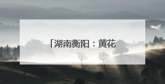 湖南衡阳：黄花菜采收加工忙