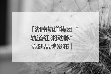 湖南轨道集团“轨道红·湘动脉”党建品牌发布