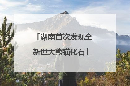 湖南首次发现全新世大熊猫化石