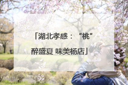 湖北孝感：“桃”醉盛夏 味美杨店