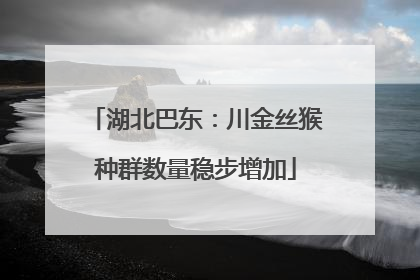 湖北巴东：川金丝猴种群数量稳步增加