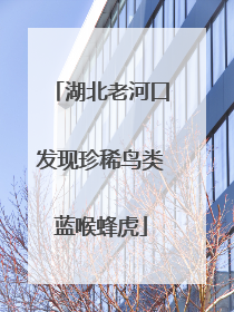湖北老河口发现珍稀鸟类蓝喉蜂虎