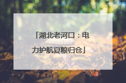 湖北老河口：电力护航夏粮归仓