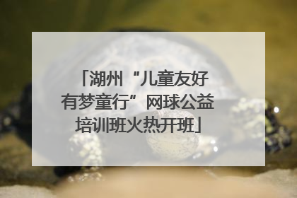 湖州“儿童友好 有梦童行”网球公益培训班火热开班