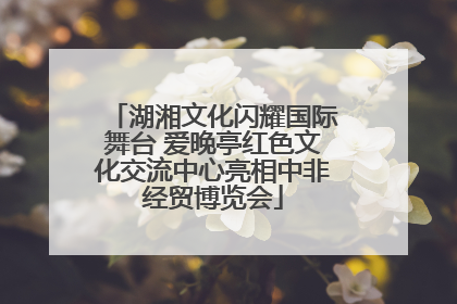 湖湘文化闪耀国际舞台 爱晚亭红色文化交流中心亮相中非经贸博览会