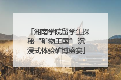 湘南学院留学生探秘“矿物王国” 沉浸式体验矿博盛宴