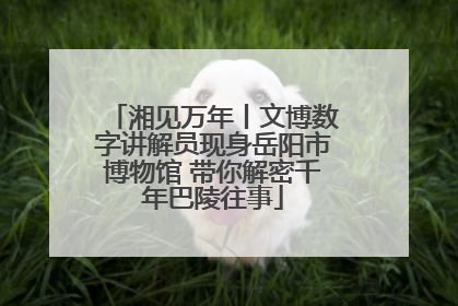湘见万年丨文博数字讲解员现身岳阳市博物馆 带你解密千年巴陵往事