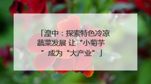 湟中：探索特色冷凉蔬菜发展 让“小菊芋”成为“大产业”