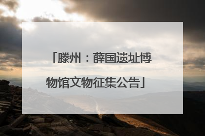 滕州：薛国遗址博物馆文物征集公告