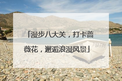 漫步八大关，打卡蔷薇花，邂逅浪漫风景
