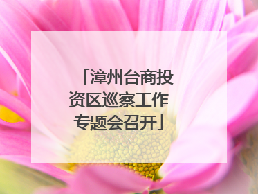 漳州台商投资区巡察工作专题会召开