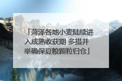 菏泽各地小麦陆续进入成熟收获期 多措并举确保夏粮颗粒归仓